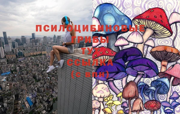 эйфоретик Алексеевка