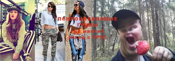 прущая мука Няндома