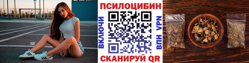 Псилоцибиновые грибы Cubensis  Нововоронеж 